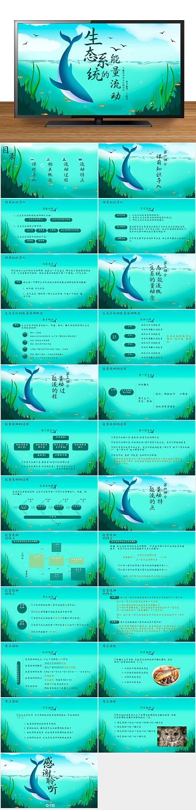 说课讲解生态系统的能量流动课件
