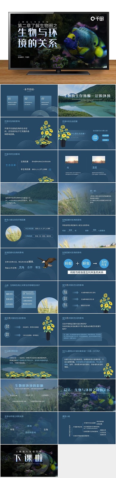 七年级生物与环境的关系课件
