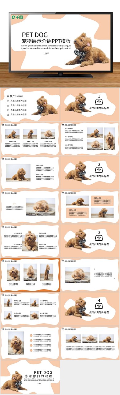 宣传可爱暖橙色宠物展示介绍PPT
