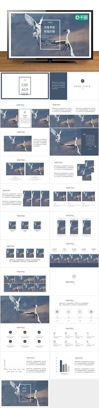 计划图表商务简约工作总结ppt
