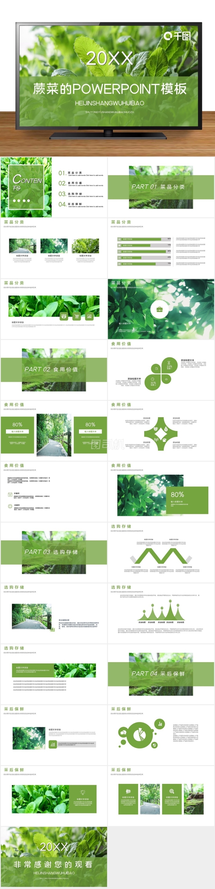 蕨菜的powerpoint模板免費