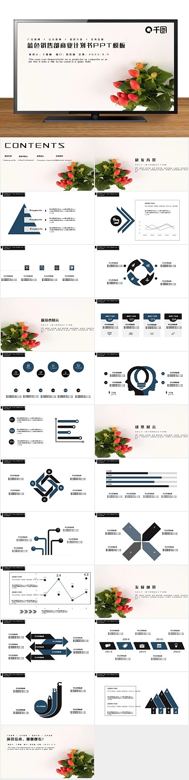 汇报总结风销售部商业计划书PPT

