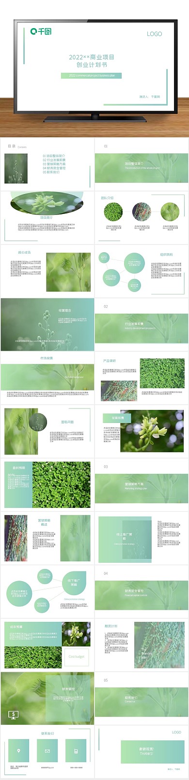 商业项目创业计划书
