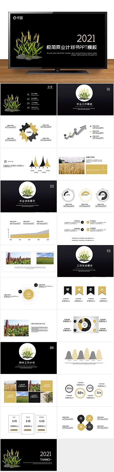 策划企划书发展商业计划书PPT
