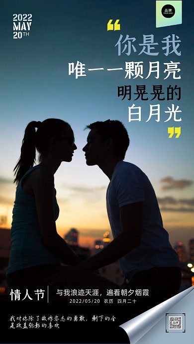 520情人节浪漫的情侣摄影图海报