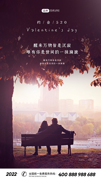 520情人节浪漫的情侣摄影图海报