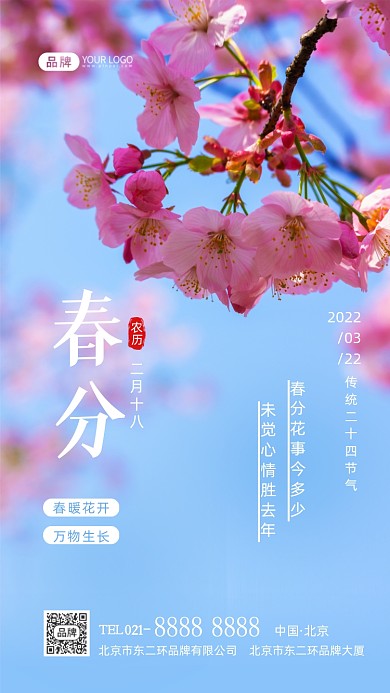 春分节气传统节气摄影图海报