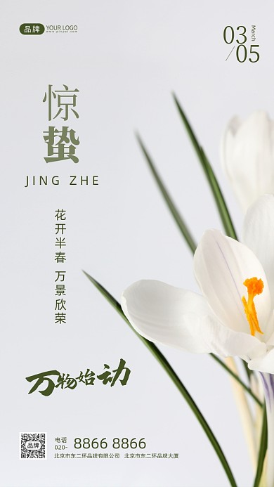 二十四节气节日宣传惊蛰传统节日摄影图手机海报