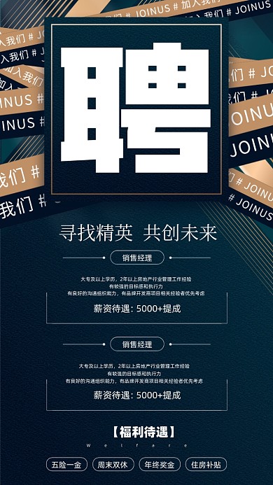 招聘精英简约摄影图海报