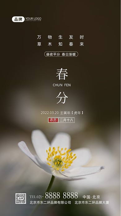 春分节气二十四节气摄影图海报