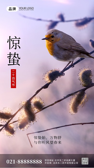 紫色简约惊蛰气节摄影图手机海报