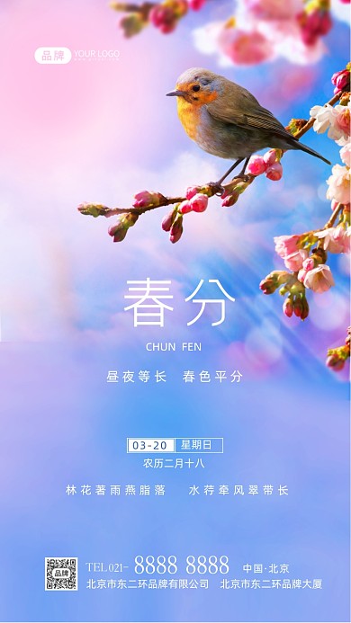 春分节气传统节气摄影图海报