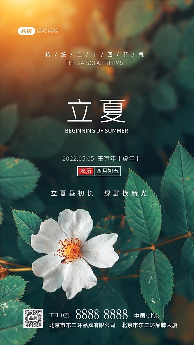 立夏节气传统节气摄影图海报