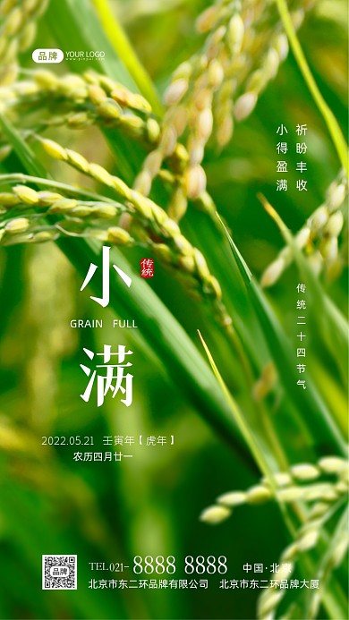 小满节气传统节气摄影图海报