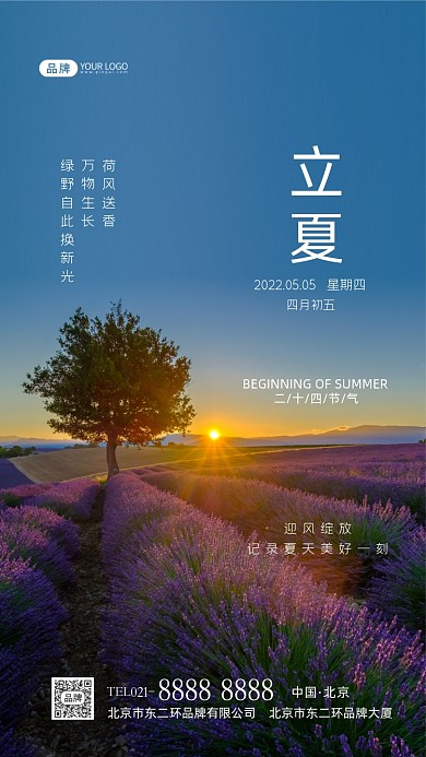 立夏节气二十四节气摄影图海报