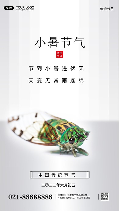 中国传统节气小暑摄影图手机海报