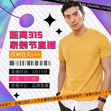 315家装节直播酸性风摄影图海报