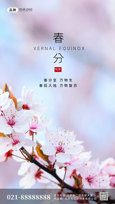 粉色简约春分气节摄影图手机海报
