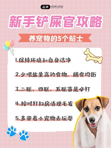 新手铲屎官攻略小红书配图