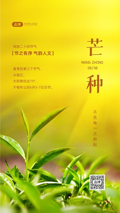 芒种节气传统节气摄影图海报
