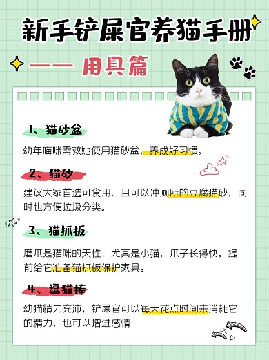 新手铲屎官养猫手册小红书配图