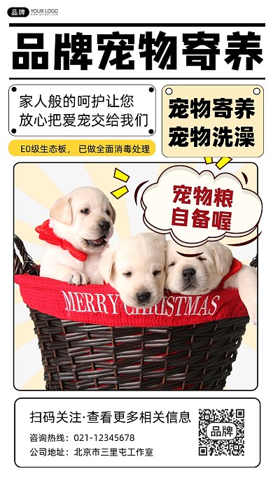 宠物寄养宣传摄影图海报