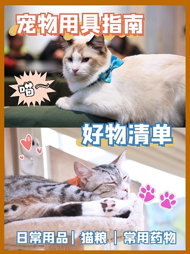 宠物用具指南小红书配图