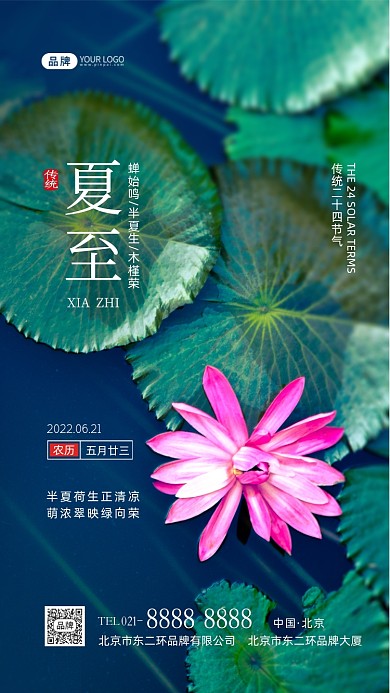 夏至节气池塘花卉摄影图海报
