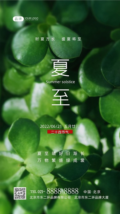 夏至节气绿色植物摄影图海报