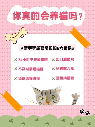 养猫新手常犯的错误小红书配图