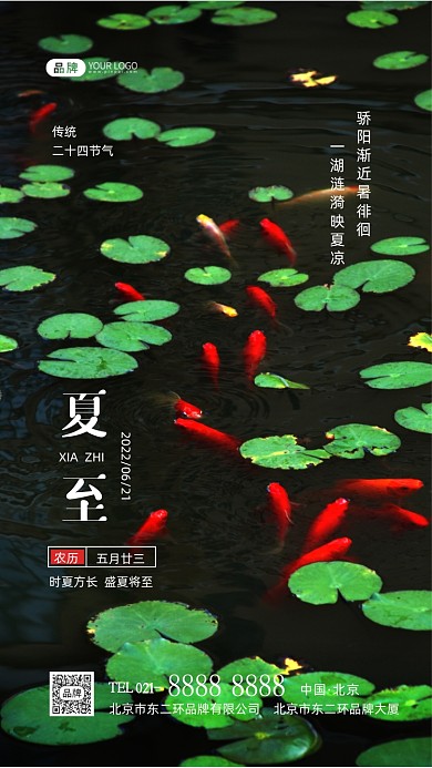 夏至节气荷叶池塘摄影图海报