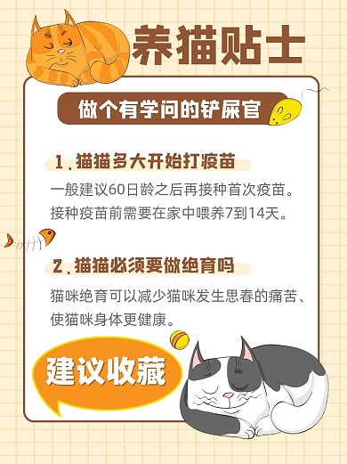 养猫贴士小红书配图