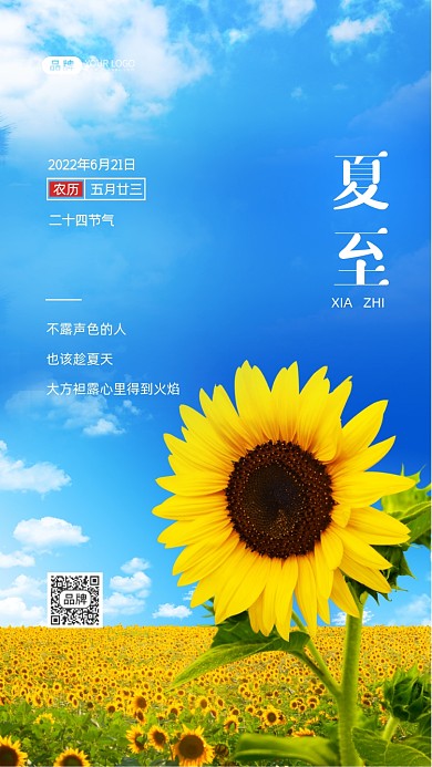 夏至节气向日葵风景摄影图海报