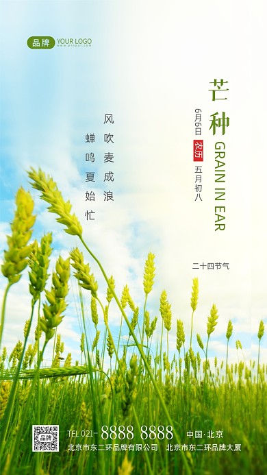 芒种节气二十四节气摄影图海报
