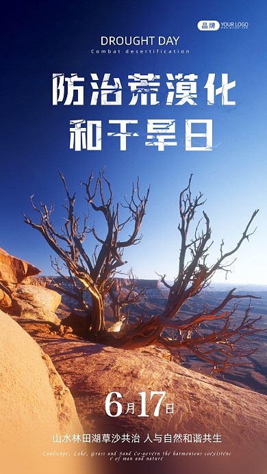 世界防治荒漠化和干旱日枯树摄影图海报