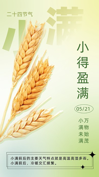 二十四节气小满摄影图海报
