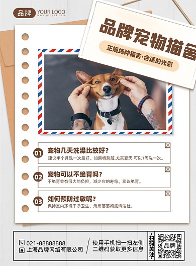 宠物猫舍之时解答印刷海报