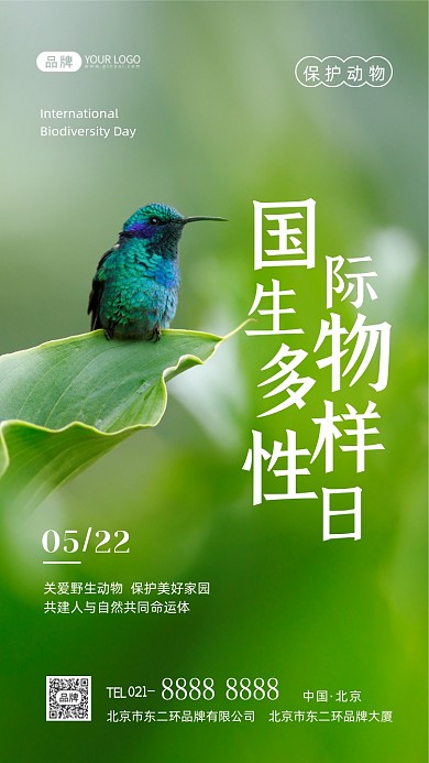 国际生物多样性日保护动物摄影图海报
