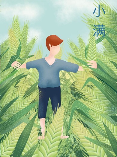 小满节气插画24节气手绘小麦田收获