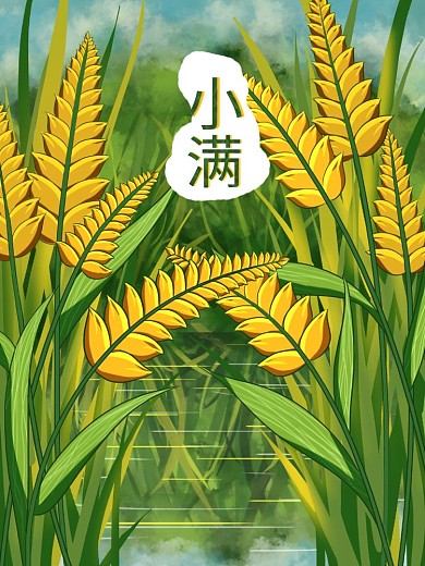 小满节气的稻穗日系风景插画