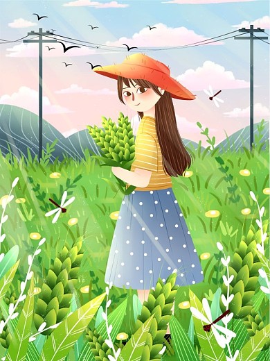 节日节气之小满插画