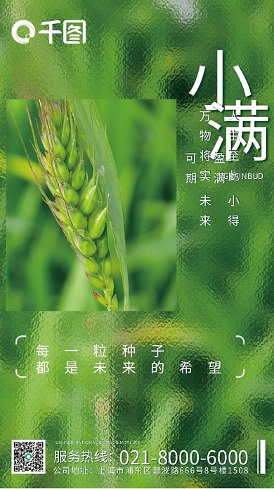 二十四节气玻璃每一粒种子服务热线海报