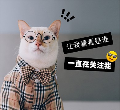 猫咪创意朋友圈封面