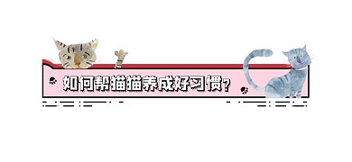 如何帮猫猫养成好习惯新媒体文章标题