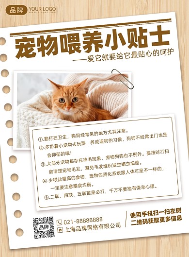 宠物喂养小贴士印刷海报