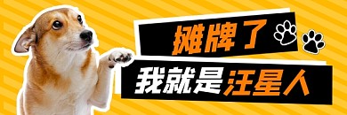 摊牌了我是汪星人新媒体超链接配图