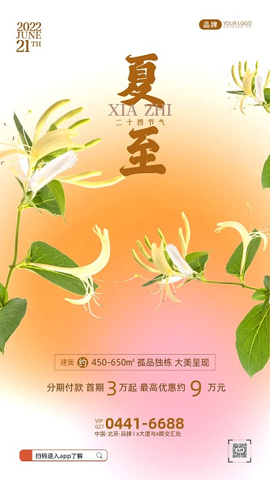 夏至节气金银花摄影图海报