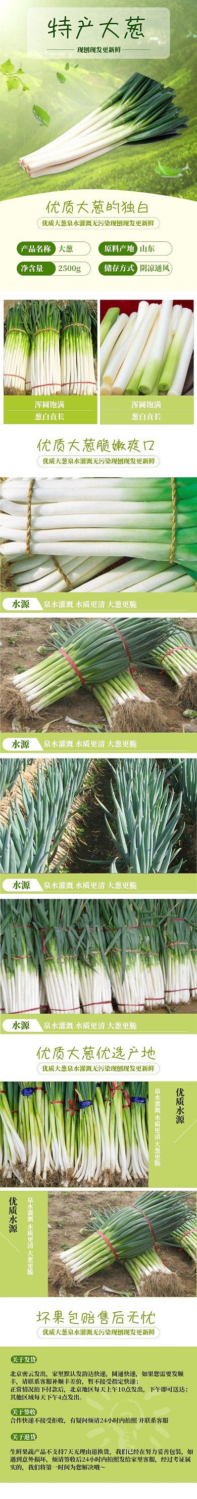 绿色蔬菜大葱详情页
