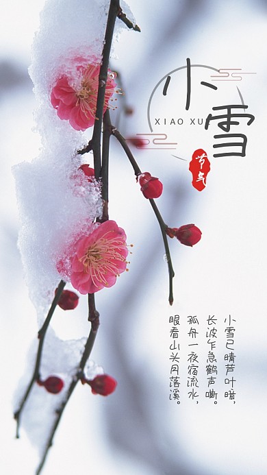 简洁小雪节气手机海报
