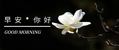 早安你好公众号首图